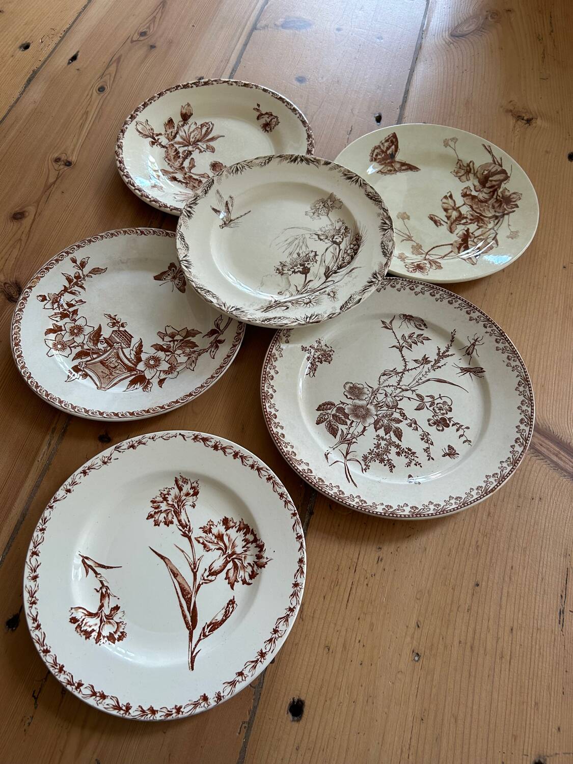 Mismatched set of 6 old flat plates
