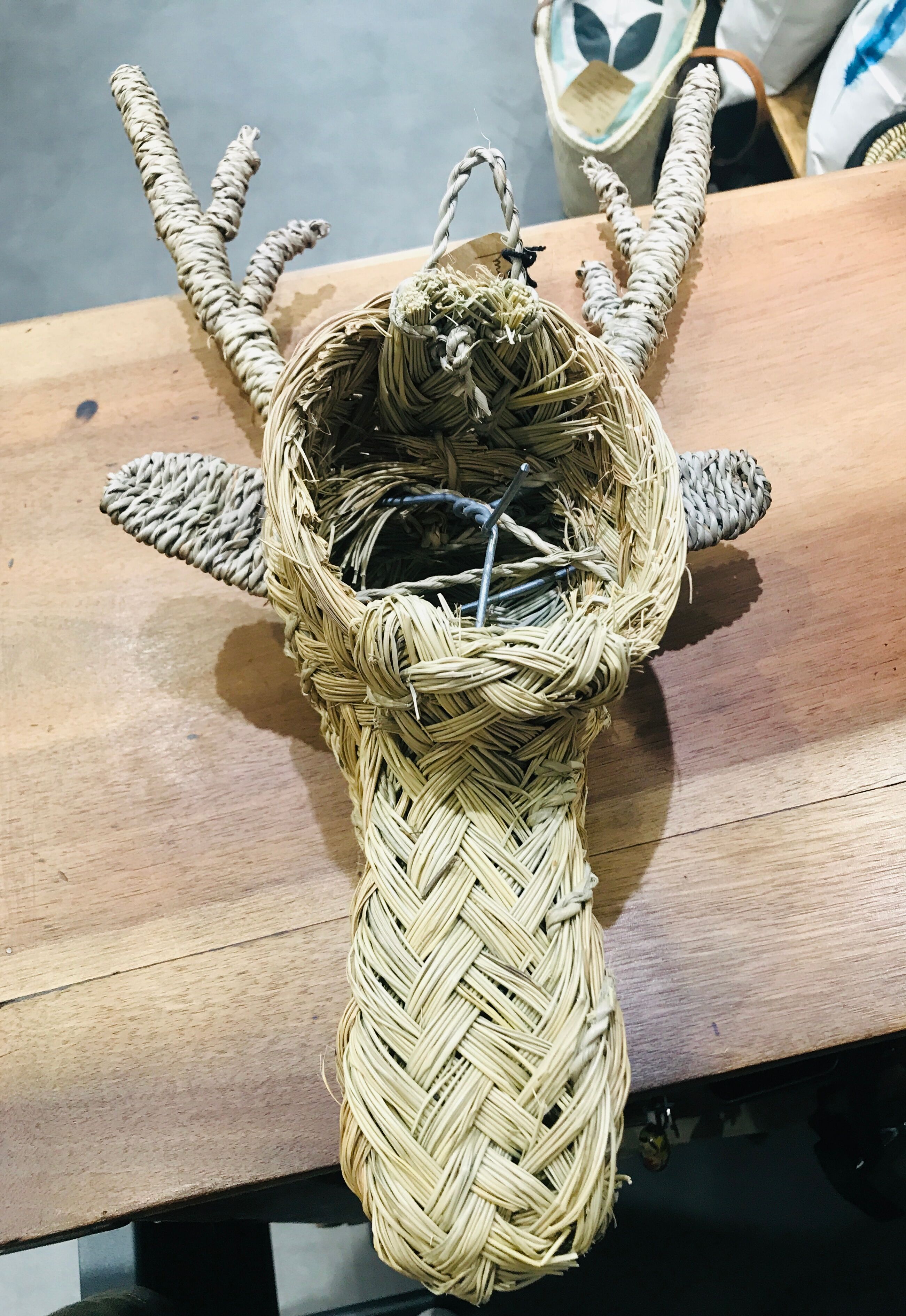 Reindeer head trophy in braided alfa