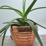 Old copper pot cover