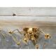 A pair of 2 Murano Glass "poliedri " wall sconce with a gold by SimoEng