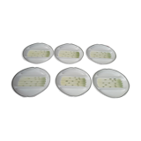 6 asparagus plates in salins earthenware bubble model Auxonne diam 23 cm
