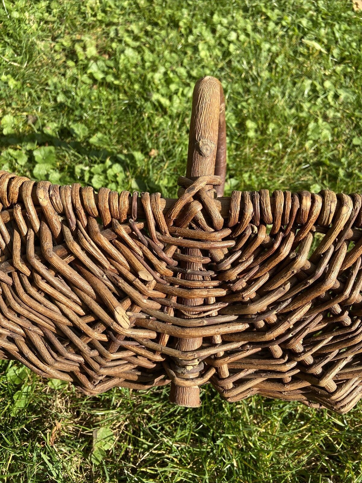 Basket with wicker handle picking vegetable garden mushrooms