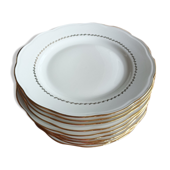 Set de 12 assiettes plates en porcelaine SFP blanc et Or