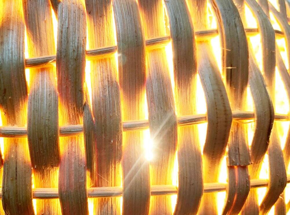 Suspension Poisson of the Mid-Century, 1960s