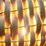 Suspension Poisson of the Mid-Century, 1960s