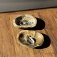 Dark beige oval petrified wood bowl 25x19 - 3782