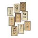 Ensemble de neuf anciens cadres de planches décoratives de papillons