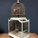 Old bird cage