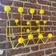 Hang It All yellow edition by Charles Eames and Ray Eames for Vitra
