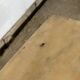 Table basse marbre base laiton vintage 1950