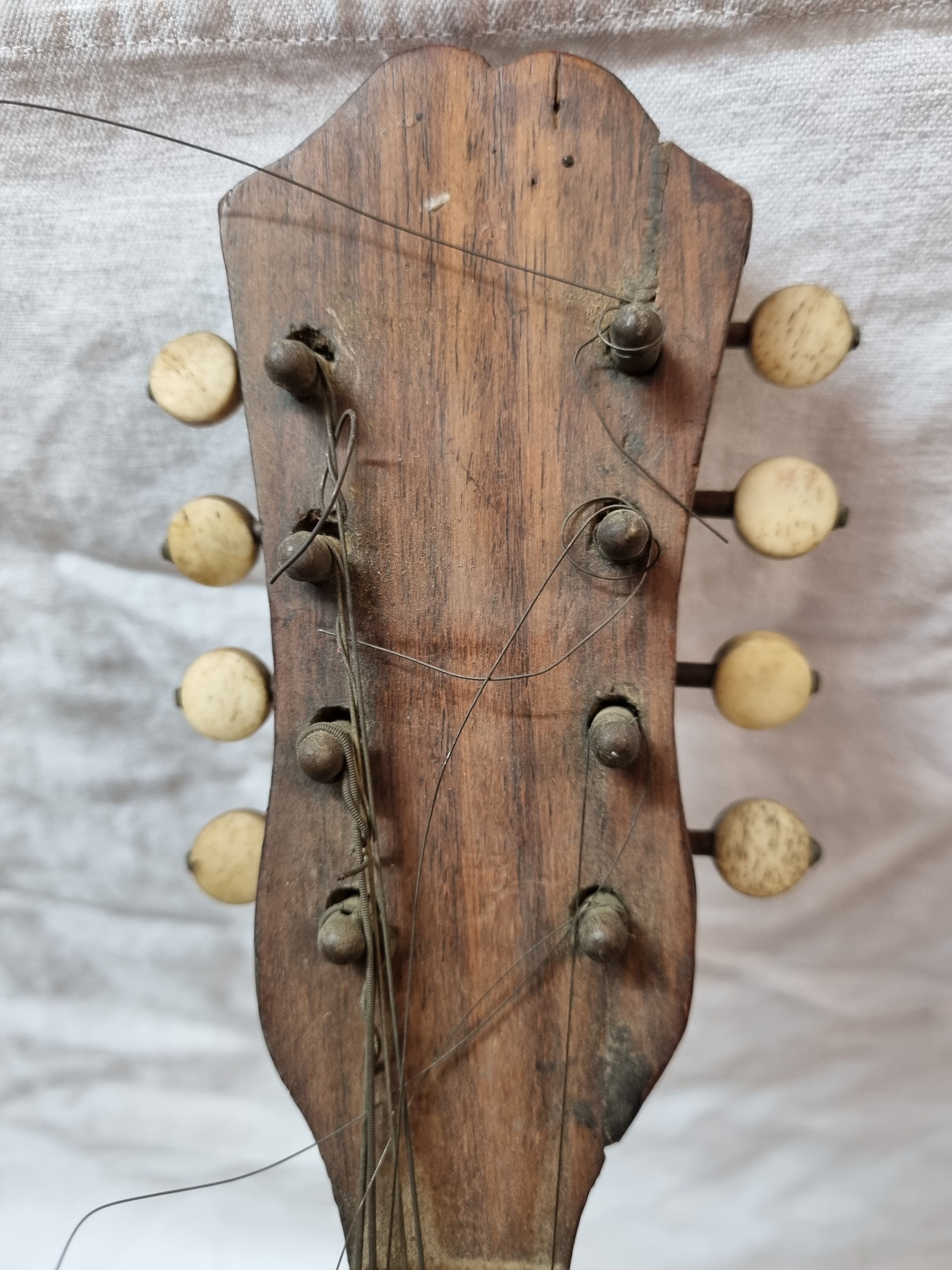 Mandolin Domenico Salvadori Napoli antico