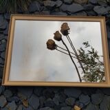 Old gilded mirror