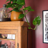 Wood and terracotta showcase