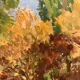 Vintage landscape watercolor