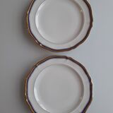 Set of 21 porcelain plates from Limoges UNIC - Decoration with golden twigs