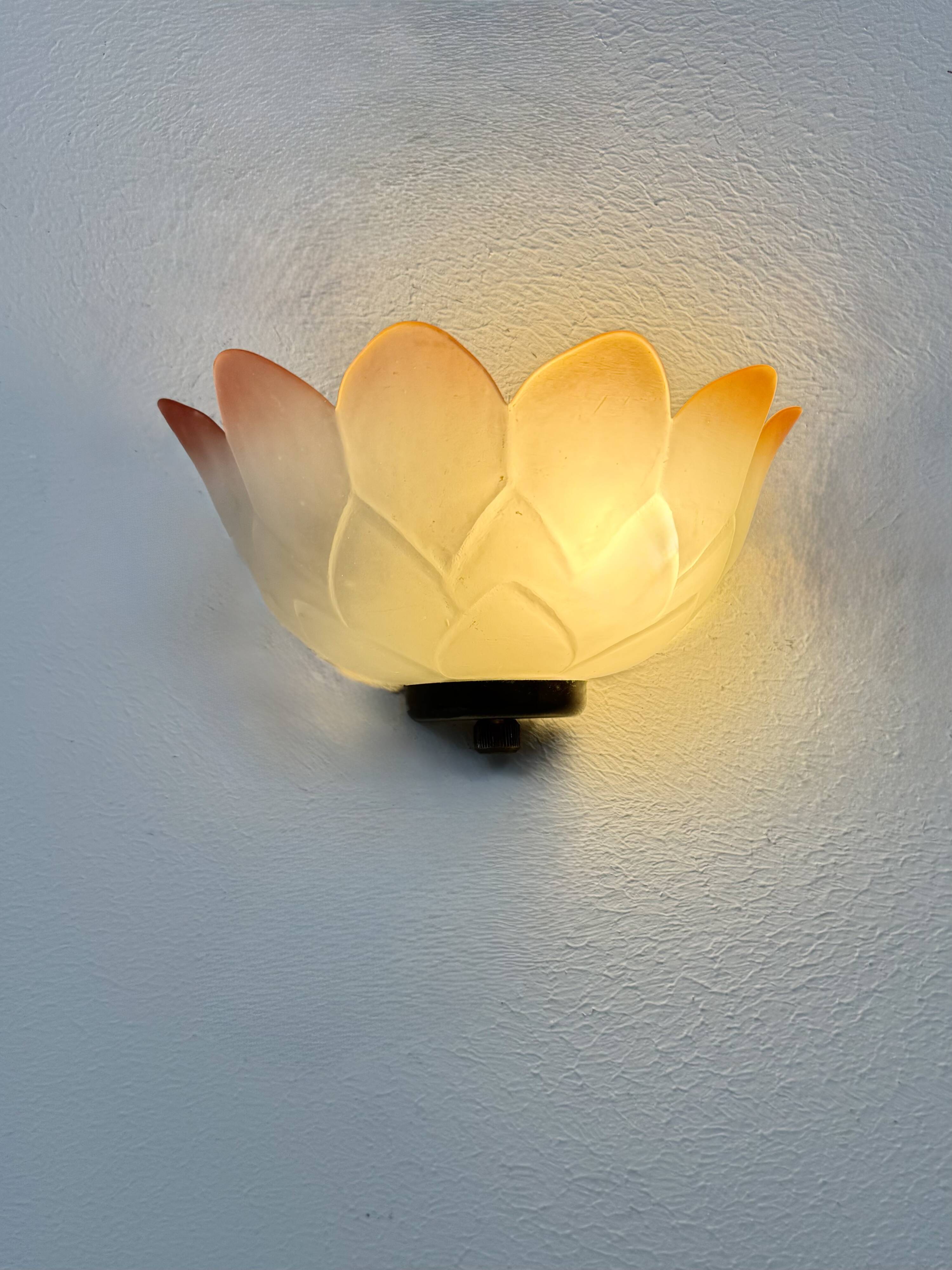 Vintage "flower" wall sconces, glass, France, 1970.