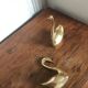 Couple of brass swans