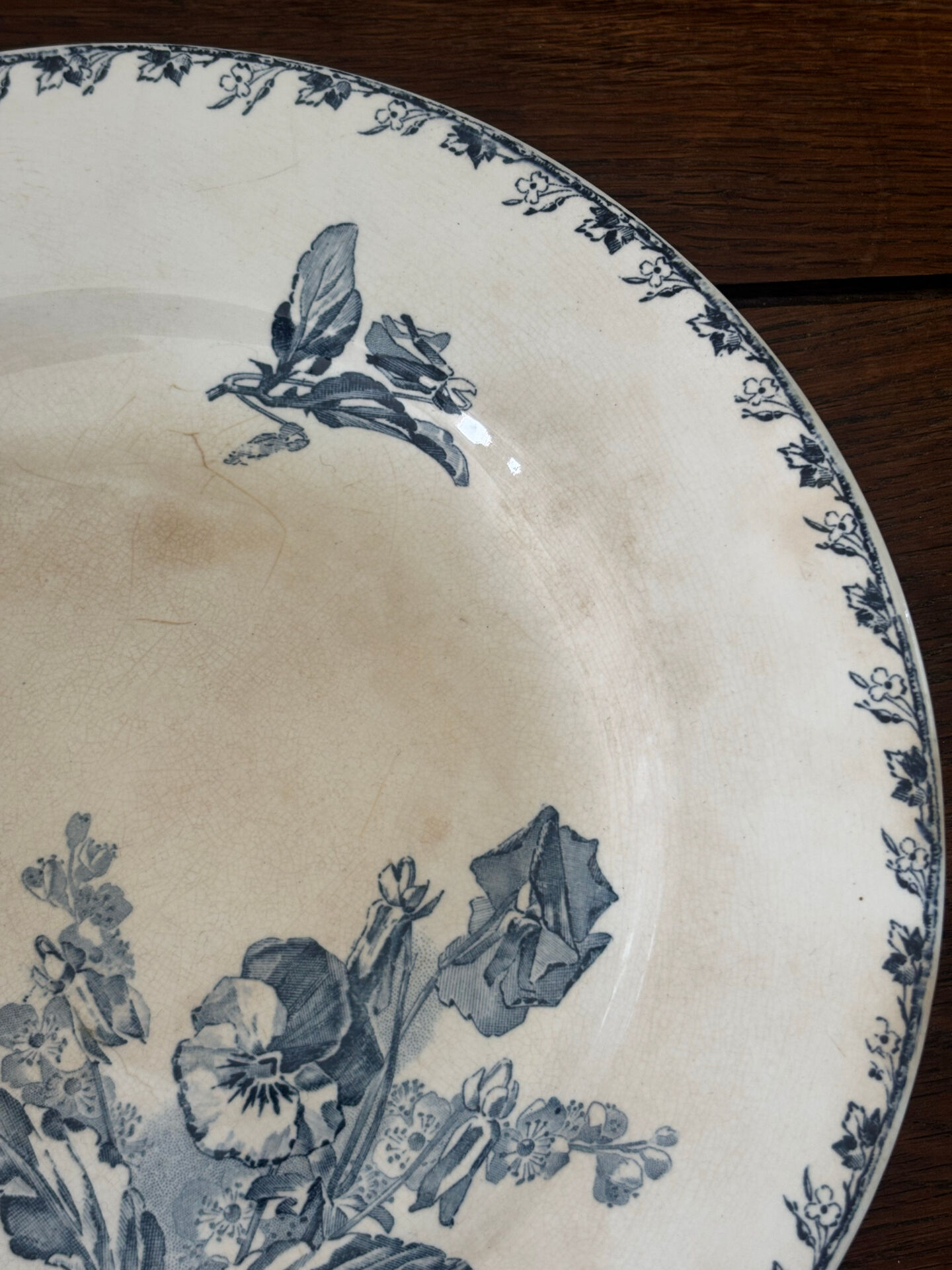 Antique plate from Sarreguemines Stella