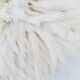 Jujuhat blanc 55 cm
