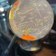 Illuminated world map