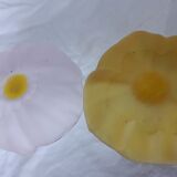 Pair of crystal flower bowls, Daum