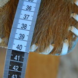 60s Cowhide Card Game Mat