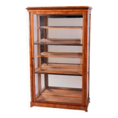 Antique Biedermeier Display Cabinet in Spruce, 1830s