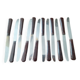 12 Couteaux Art Deco Manche Bakelite