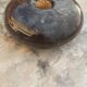 Flattened spherical vase made of glass paste