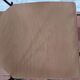 Paire de chaises vintage Stoll Giroflex par Albert stoll