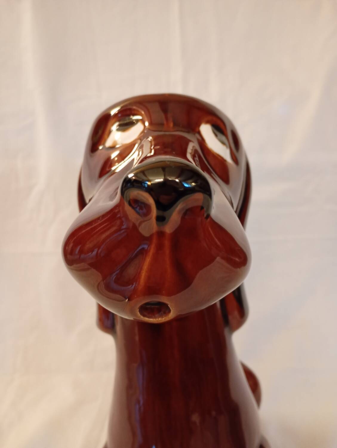 Dog pitcher
