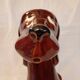 Dog pitcher