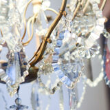 Classic French chandelier with grapevines