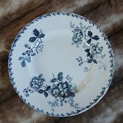 20 mismatched antique flat plates in ironstone