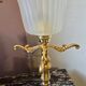 Lampe à poser originale éléments en métal doré et tulipe