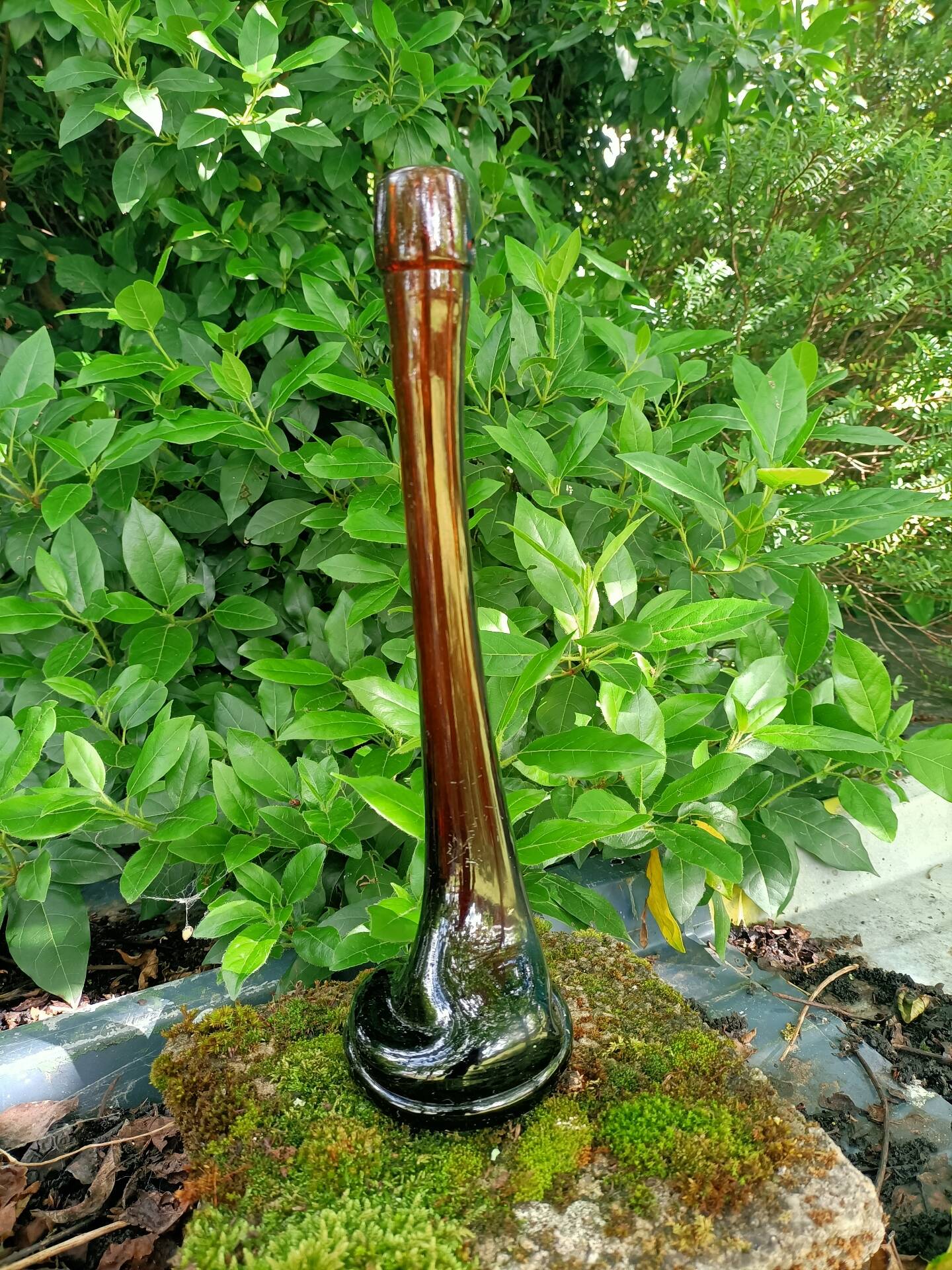 Retro bottle vase