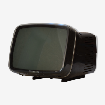 TV Brionvega portable pair