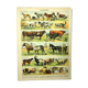 Antique engraving 1897 - Mammals 4, animals, zoology