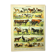 Antique engraving 1897 - Mammals 4, animals, zoology