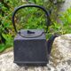 small cast iron teapot
