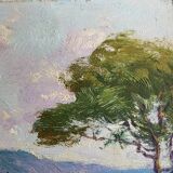 Mediterranean seafront board