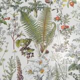 Lithograph on medicinal plants from 1928 (absinthe)