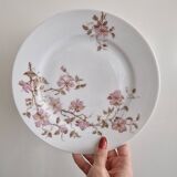 Dessert plates Hache Julien & Cie Vierzon