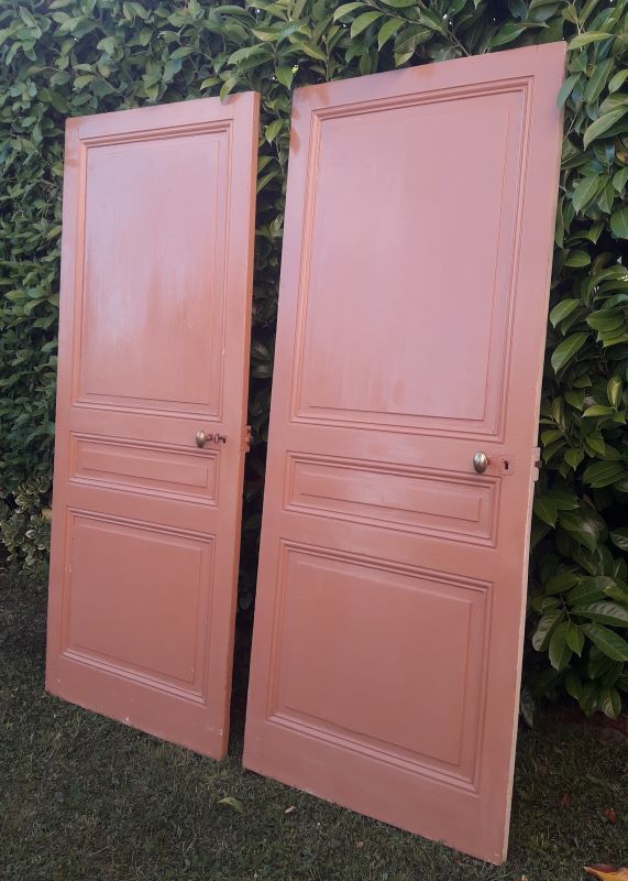 Communication door 199,2x82,8cm old molded