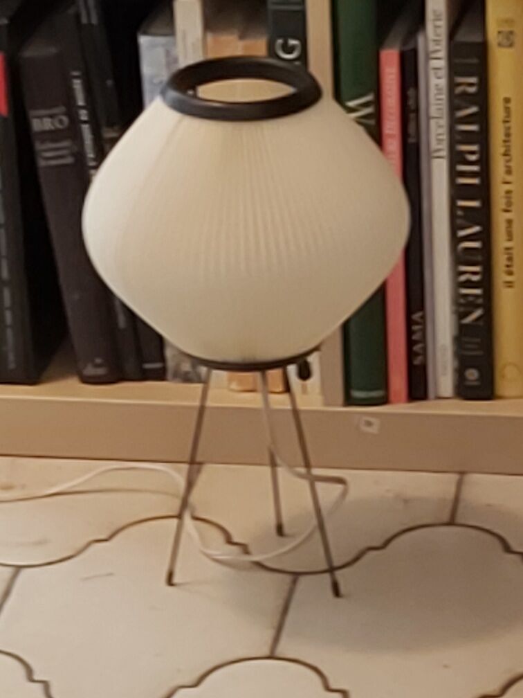 Rispal rhodoid lamp vintage 50s