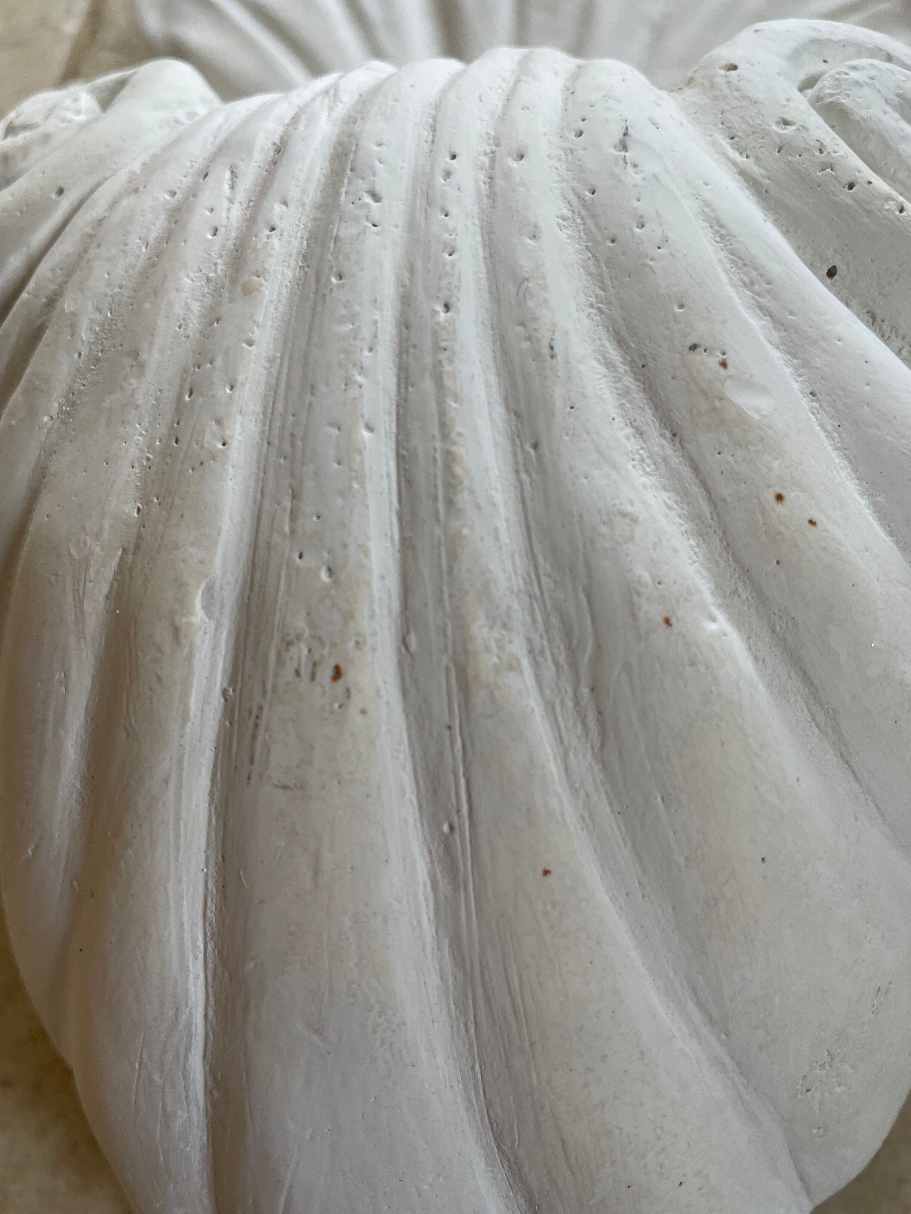 Art Deco shell wall lamp 49cm
