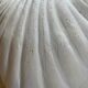 Art Deco shell wall lamp 49cm