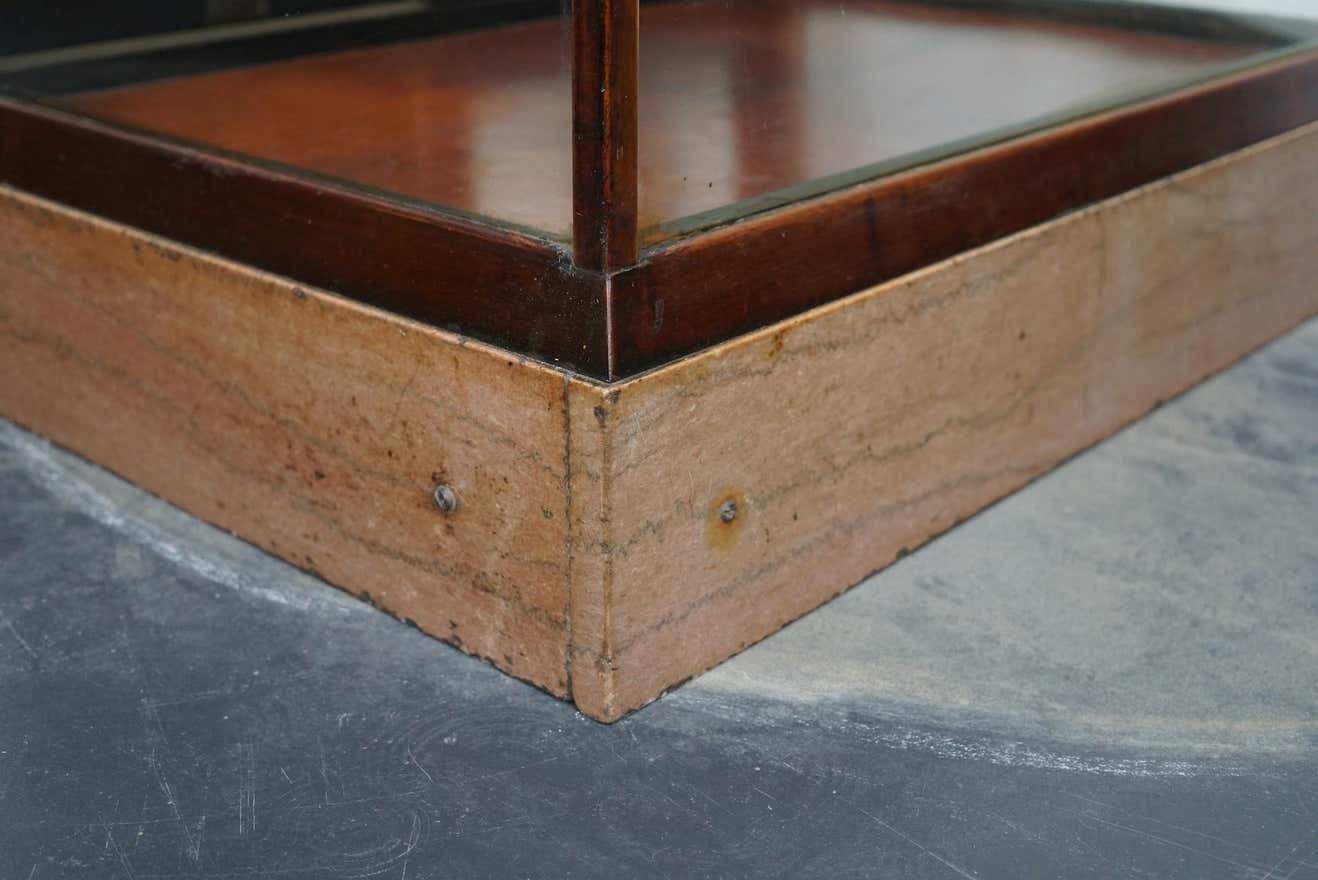 Mahogany counter window late nineteenth century