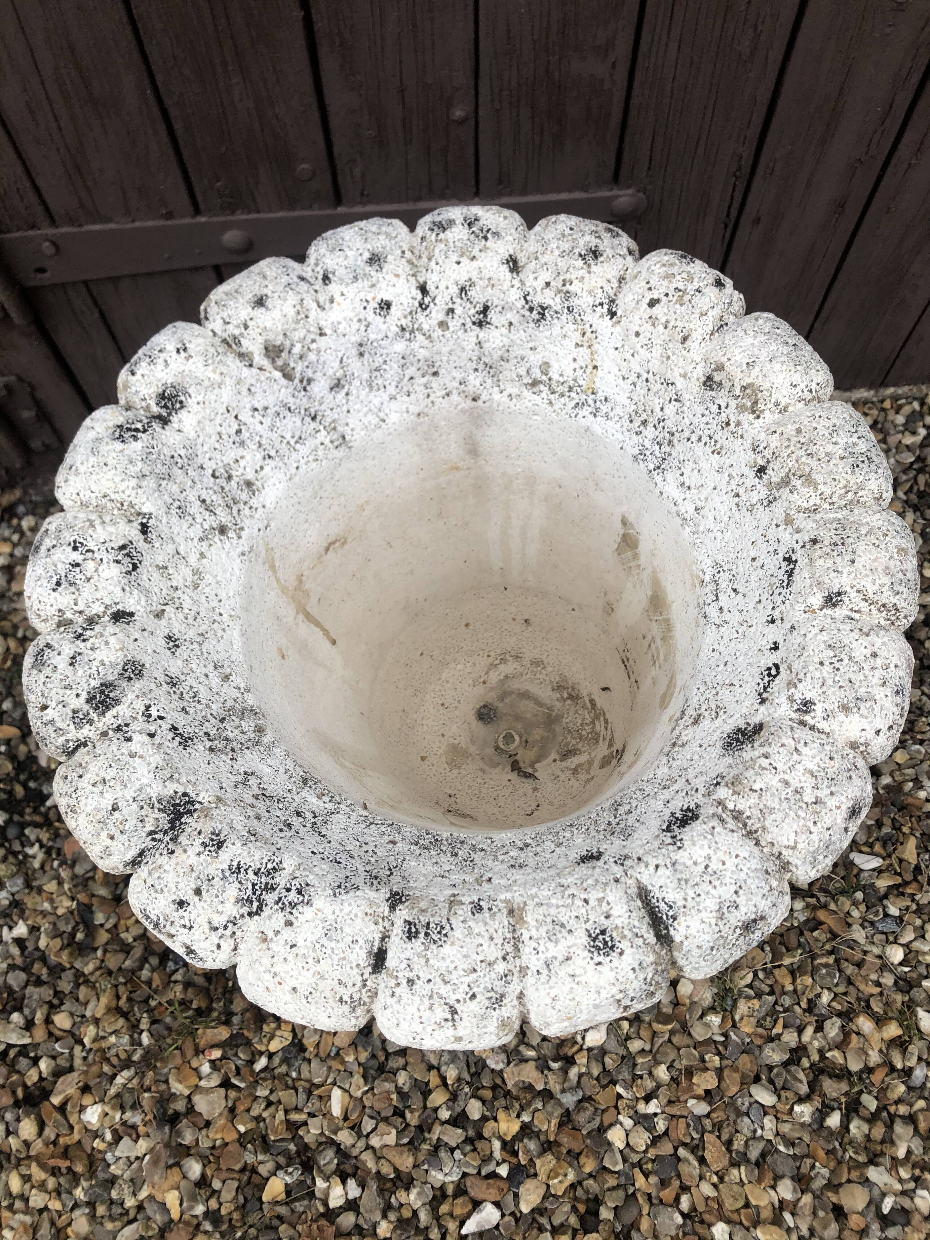 Medici Basin