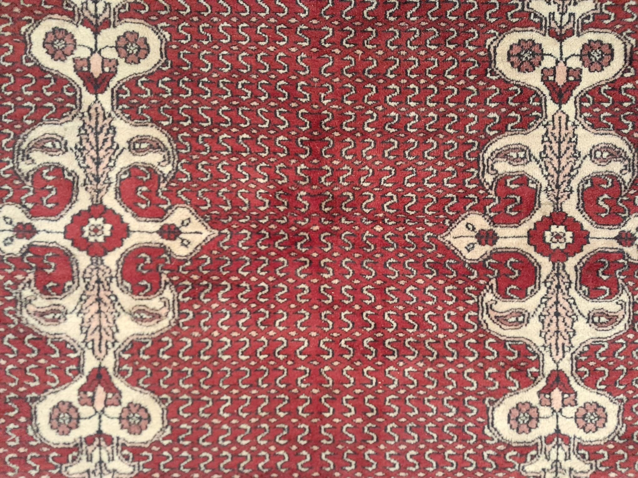 Handmade Pakistani carpet 317x216cm
